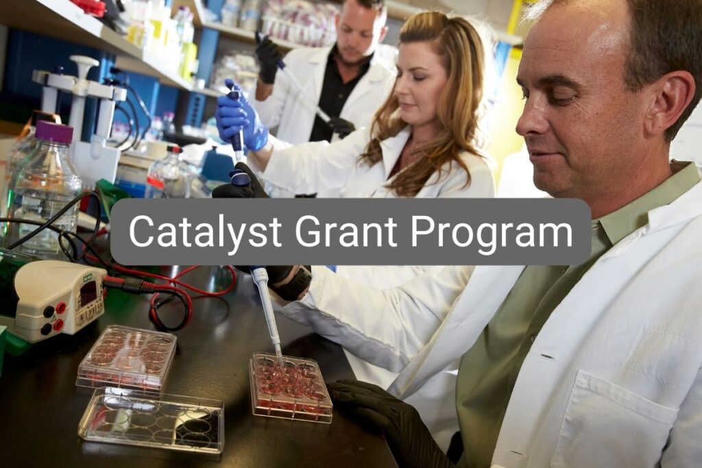Catalyst Grant Program